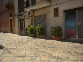 Fioriere per strada
